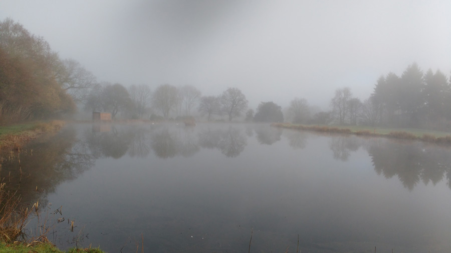 Mist over the pond on the golf course
