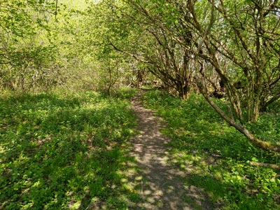 Another attractive footpath