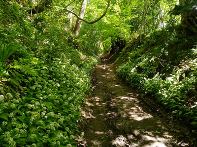 The sunken footpath from Ramsdean