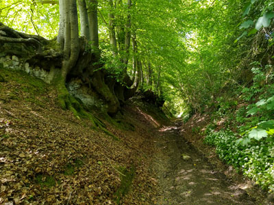 The sunken footpath from Ramsdean
