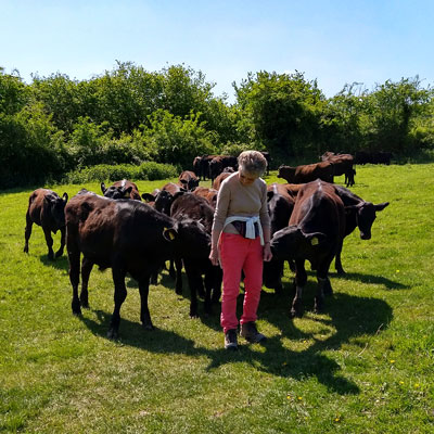 Liz had quite a following!