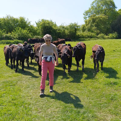 Liz had quite a following!