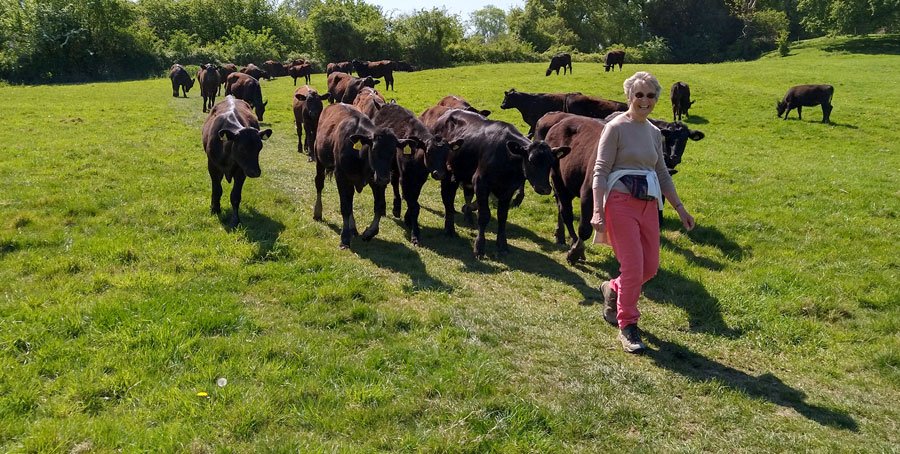 Liz had quite a following!