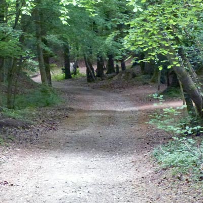 ... but most was along footpaths
