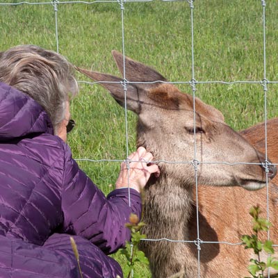 ... who obliged with some gentle massage!
