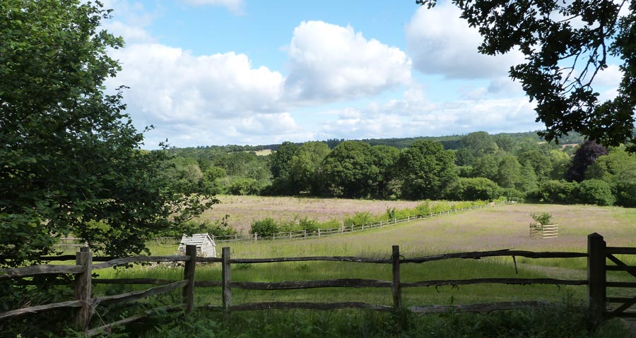 The countryside is beautiful