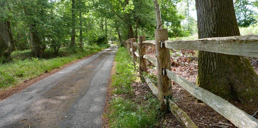 This road runs parallel to the old Petersfield to Midhurst railway line