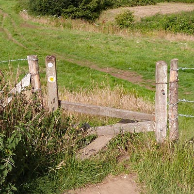 FIRST stile