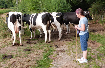Liz isn't afraid of cows!